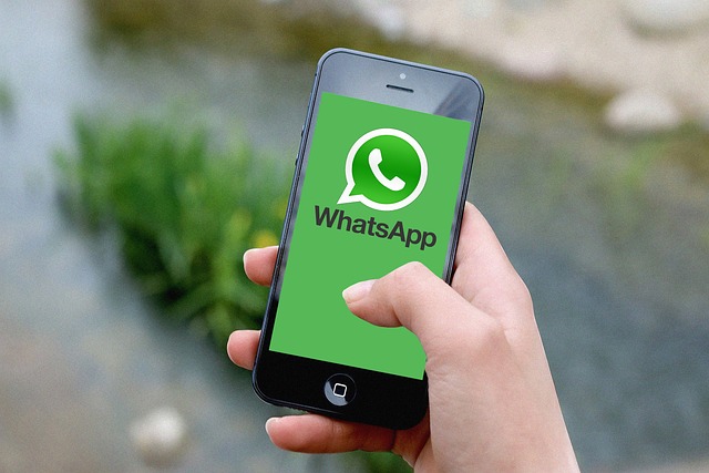 如何实现WhatsApp自动加人？