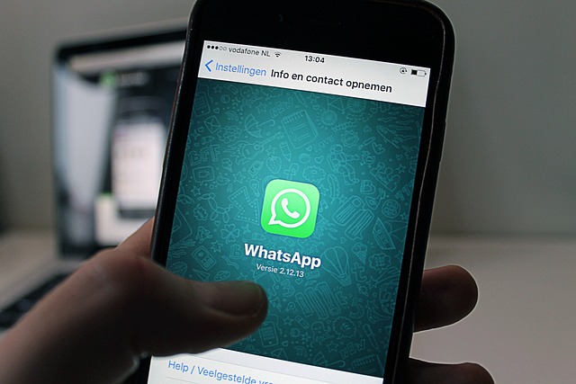 海外WhatsApp营销：拓展国际市场的有效手段