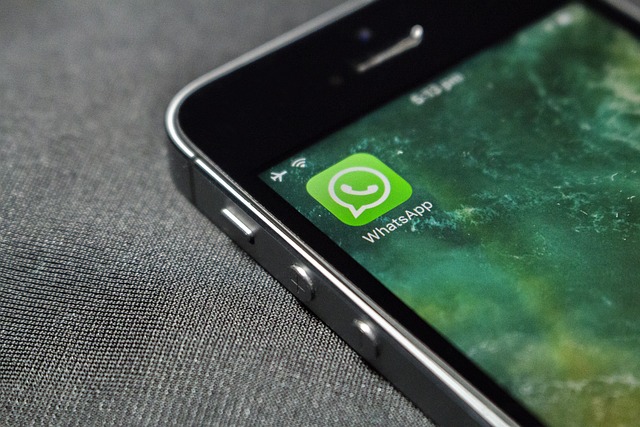 WhatsApp/WS数据在线检测：维护隐私与安全的新时代挑战