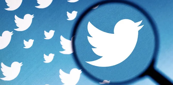 Twitter加粉计数攻略：构建强大社交网络的秘诀