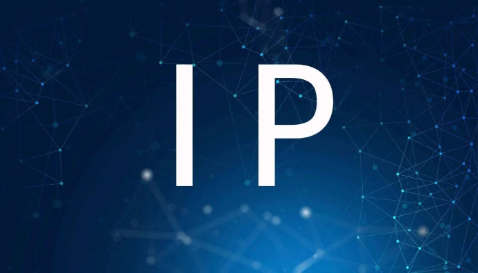 全球动态IP：连接世界的未来网络技术